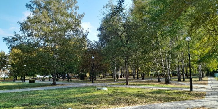 В пятницу в Рязанской области ожидается до +16 градусов