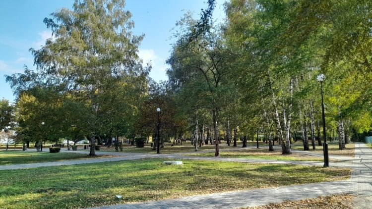 В пятницу в Рязанской области ожидается до +16 градусов