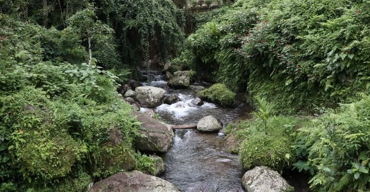 Рязанцы пожаловались на исходящий от ручья Быстрец запах бензина