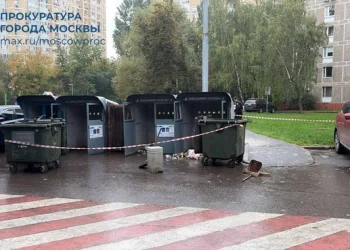 Тело младенца обнаружили возле мусорных баков в Москве