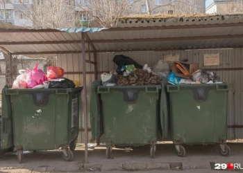 В Ростовской области нашли тело младенца в мусорном баке