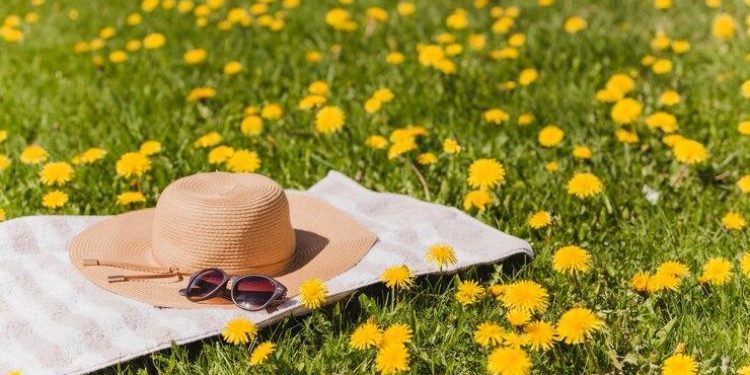 Синоптик Позднякова: в выходные дни в Центральной России установится комфортная погода