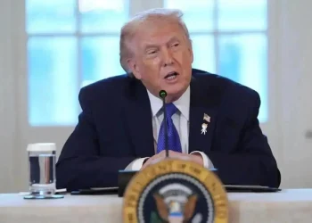 Трамп увидел шанс на сделку по Украине до зимы