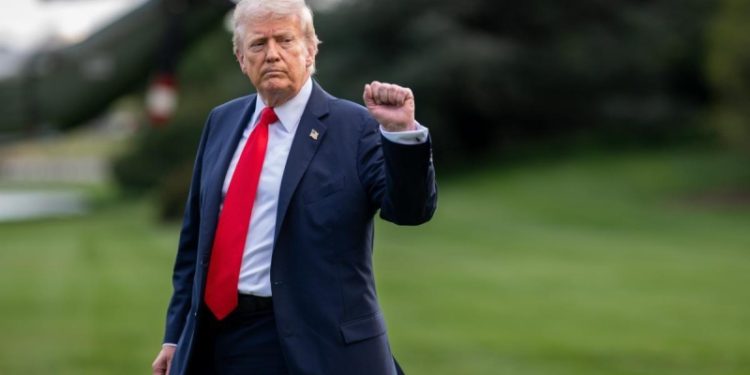 Трамп анонсировал скорый разговор с Путиным