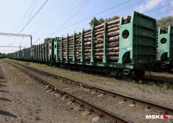 Транспортная полиция просит рязанцев помочь опознать погибшую Транспортная полиция просит рязанцев помочь опознать погибшую
