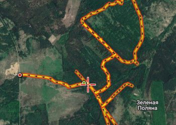Рязанские волонтеры нашли еще двоих потерявшихся грибников