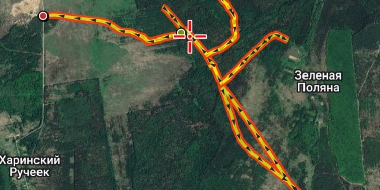 Рязанские волонтеры нашли еще двоих потерявшихся грибников