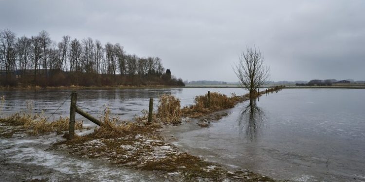 В Рязанском регионе завершилось весеннее половодье