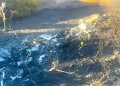 Туристы и молодожены погибли в авиакатастрофе в Греции