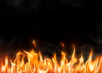 В Рязанской области с начала года жертвами пожаров стали 36 человек