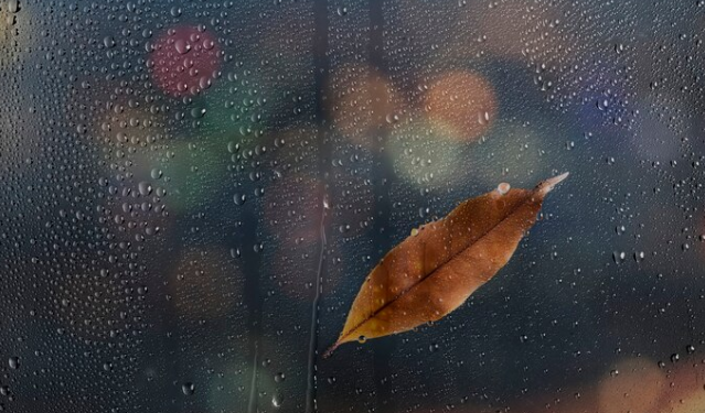 В субботу в Рязанской области ожидается сильный дождь и до +8 градусов