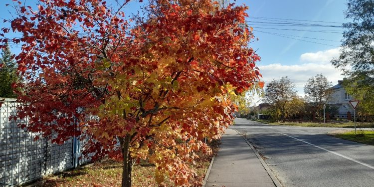 Тишковец: после недели холодов в Центральную Россию вернется потепление Тишковец: после недели холодов в Центральную Россию вернется потепление