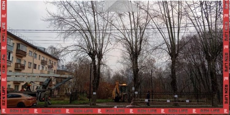 Рязанцы пожаловались на вырубку деревьев в ЦПКиО