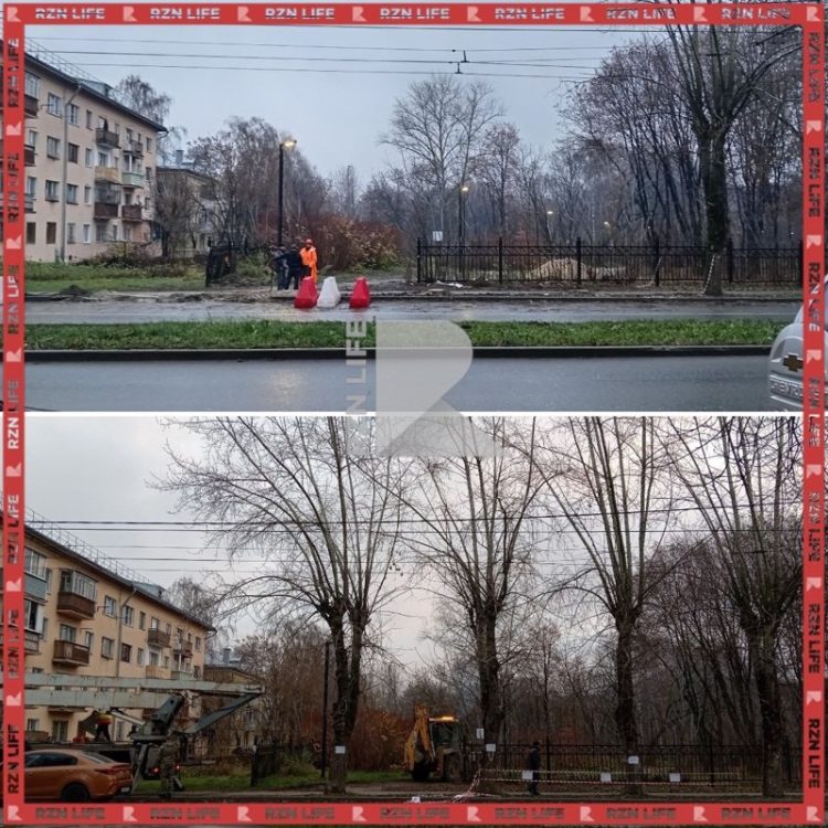 Рязанцы пожаловались на вырубку деревьев в ЦПКиО