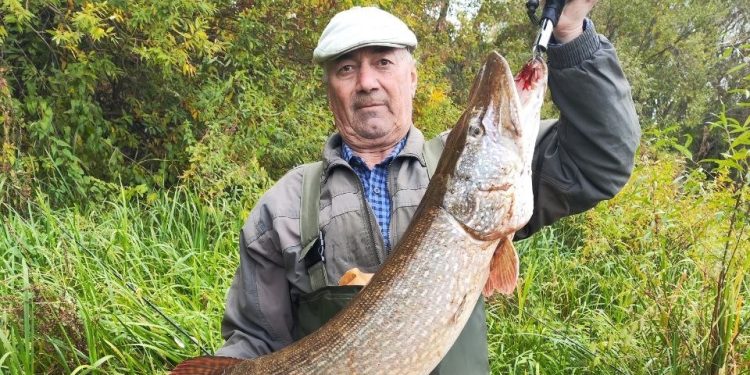 Мужчина выловил из рязанской реки рыбу весом почти 10 килограммов