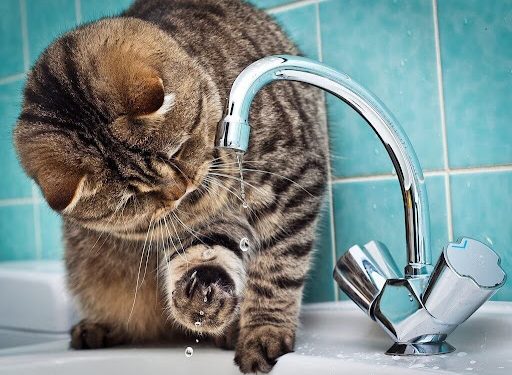 В Рязани на некоторых улицах не будет холодной воды