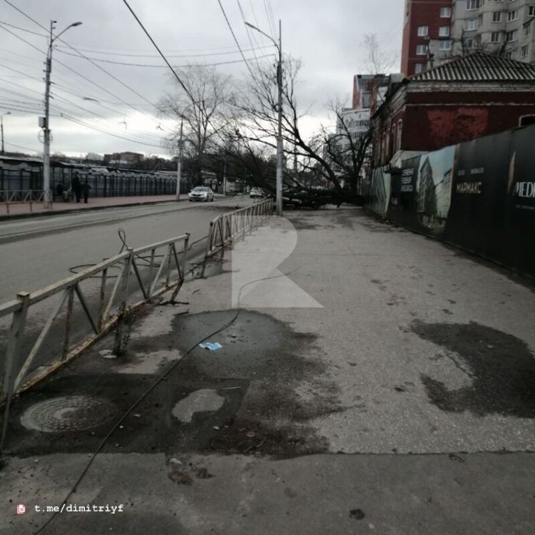 На улице Маяковского рухнуло дерево