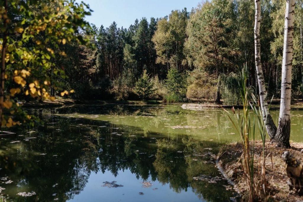 В Шацком районе появится сельская агломерация у села Борки