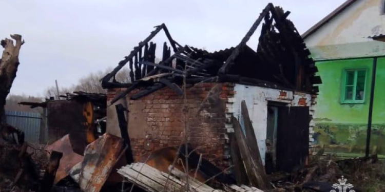 В Скопинском районе пятеро спасателей отстояли жилой дом