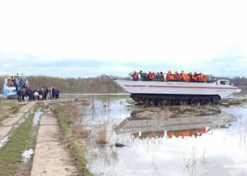Уровень воды в Оке снизился но сотни участков остаются затопленными