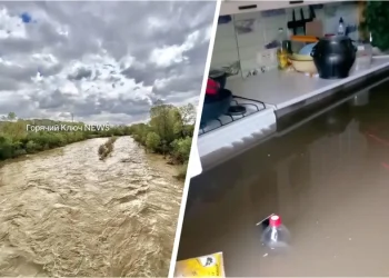 Проливные дожди топят юг России и угрожают урожаю клубники