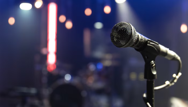 Рязанцы остались недовольны выступлением группы «Чиж & Co»