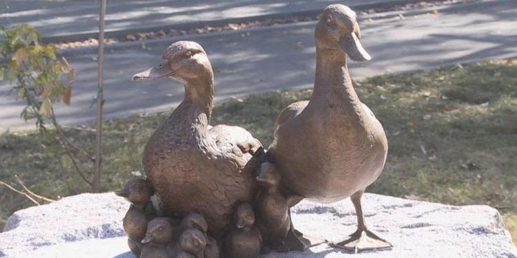 В Рязани у Черезовских прудов появился новый арт-объект "Уточки" В Рязани у Черезовских прудов появился новый арт-объект «Уточки»