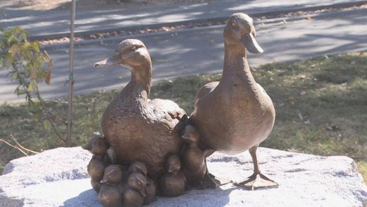 В Рязани у Черезовских прудов появился новый арт-объект "Уточки"