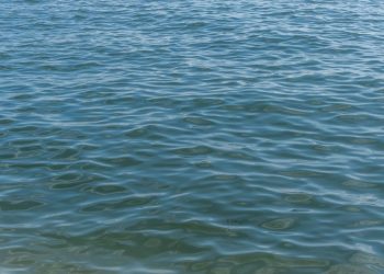 Мужчина утонул в Оке близ села Новоселки Рязанской области Мужчина утонул в Оке близ села Новоселки Рязанской области