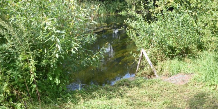 В Ряжском районе утонул 43-летний турист