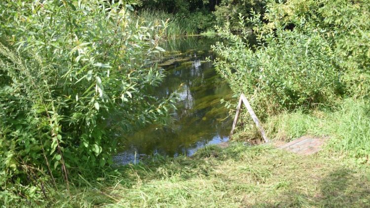 В Ряжском районе утонул 43-летний турист