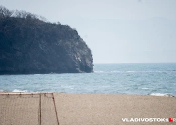 Новый разлив мазута загрязнил Черное море