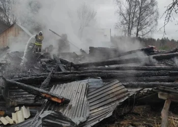 Пожар уничтожил дачу в Ермишинском округе Пожар уничтожил дачу в Ермишинском округе