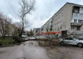 В Канищеве и Приокском деревья падают на проезжую часть