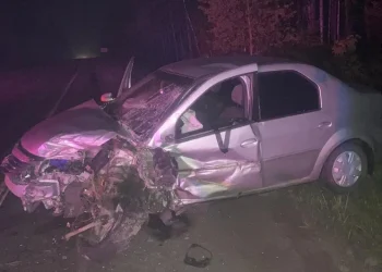 Смертельное ДТП унесло жизнь человека в Касимовском округе