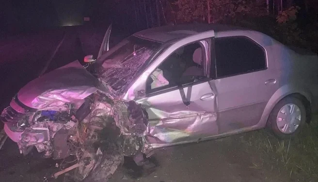 Смертельное ДТП унесло жизнь человека в Касимовском округе