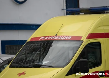 Девочка погибла в ДТП с первым замгубернатора Курской области Девочка погибла в ДТП с первым замгубернатора Курской области