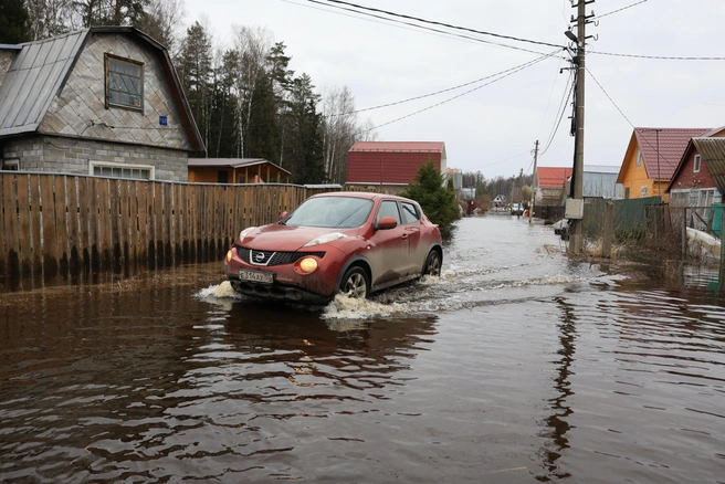 Рязань собирает помощь для пострадавших от наводнения в Дагестане Рязань собирает помощь для пострадавших от наводнения в Дагестане