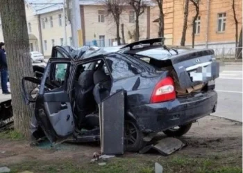 Автомобиль врезался в дерево в рязанской Горроще