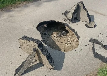 Бобр разрушил дорогу в Рязанской области