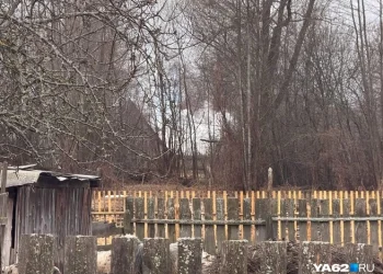 Пожар в рязанском доме