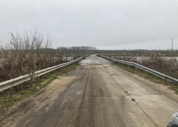 В Рязанской области освободился от воды еще один мост