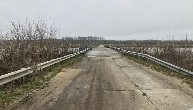 В Рязанской области освободился от воды еще один мост