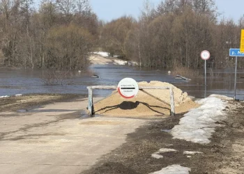 Два моста открыли в Рязанской области