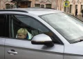 Рейды проверят перевозку детей в Рязанской области