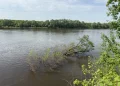 Движение по мосту через Оку временно приостановят в Спасском округе