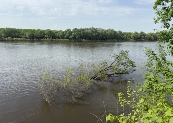 Движение по мосту через Оку временно приостановят в Спасском округе Движение по мосту через Оку временно приостановят в Спасском округе