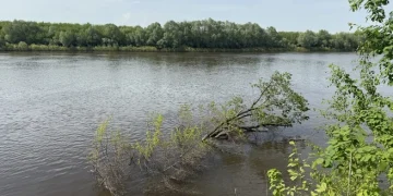 Движение по мосту через Оку временно приостановят в Спасском округе
