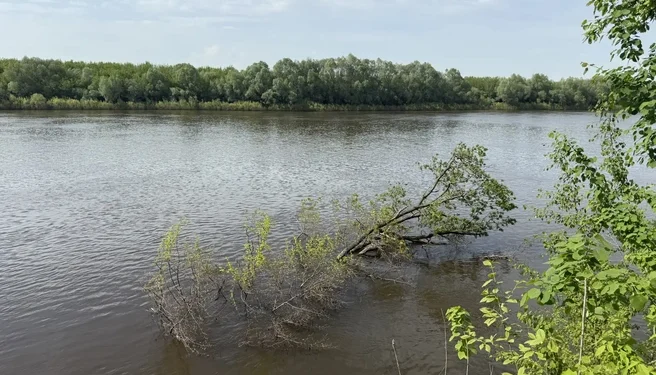 Движение по мосту через Оку временно приостановят в Спасском округе Движение по мосту через Оку временно приостановят в Спасском округе