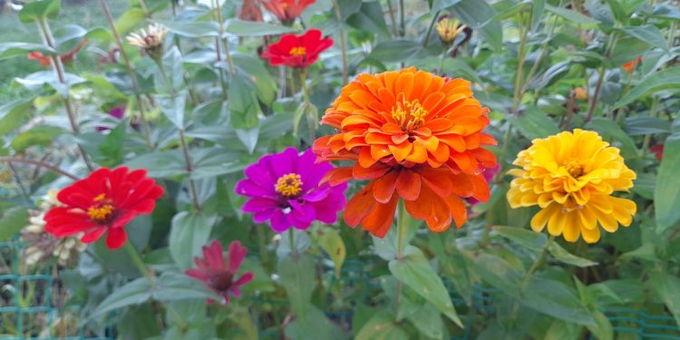 В среду в Рязанской области потеплеет до +25 градусов